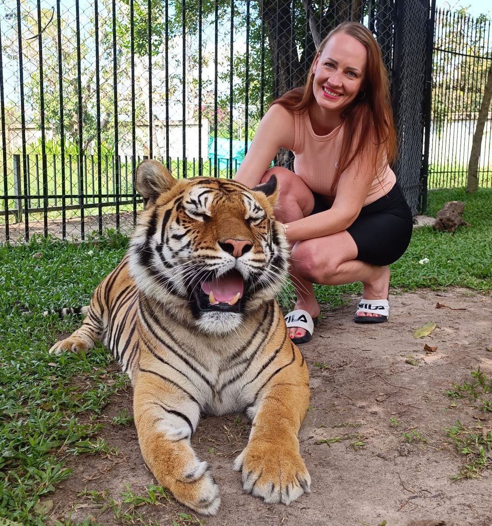 triinu sirge tiiger