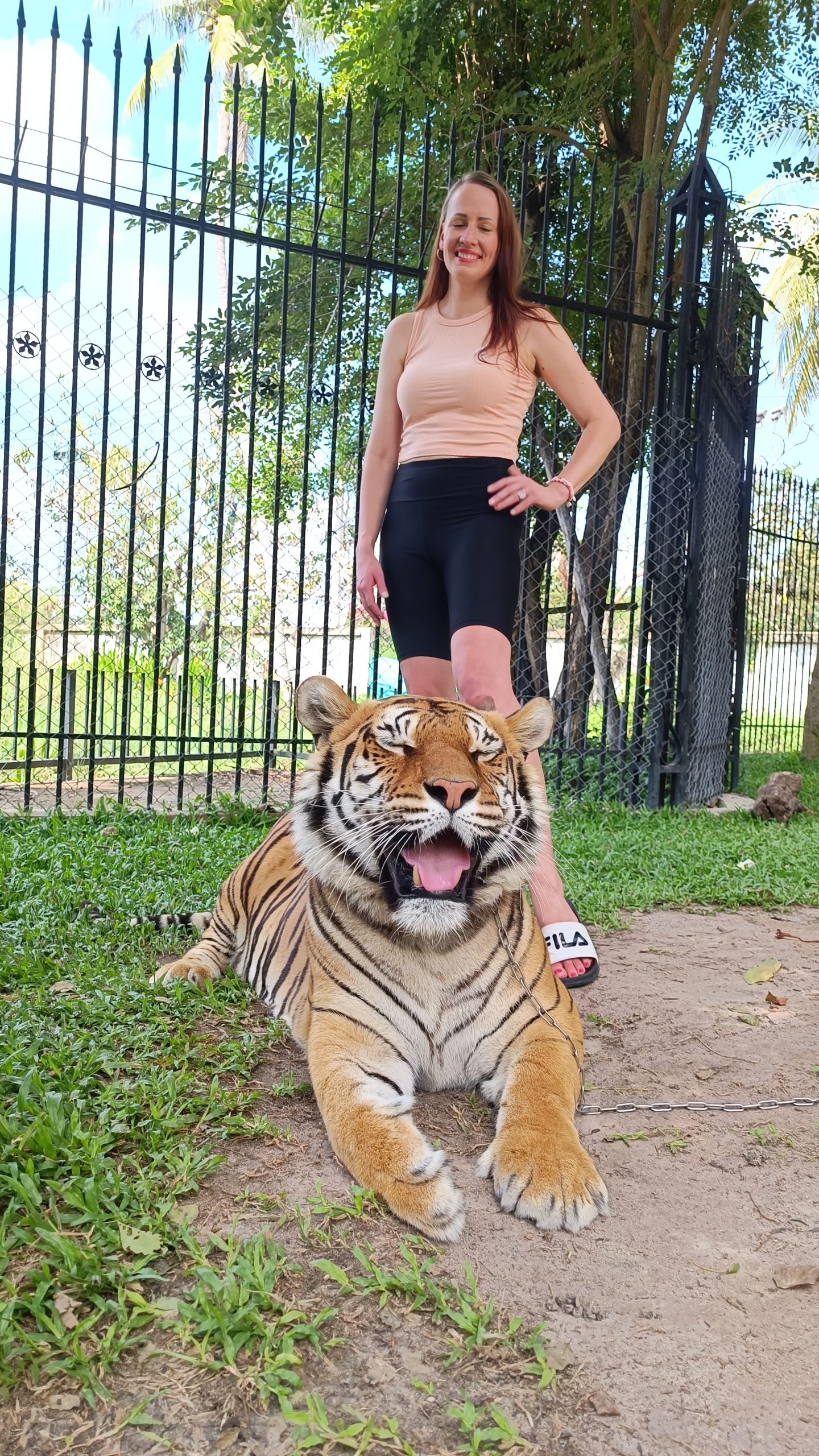 tiiger triinu sirge