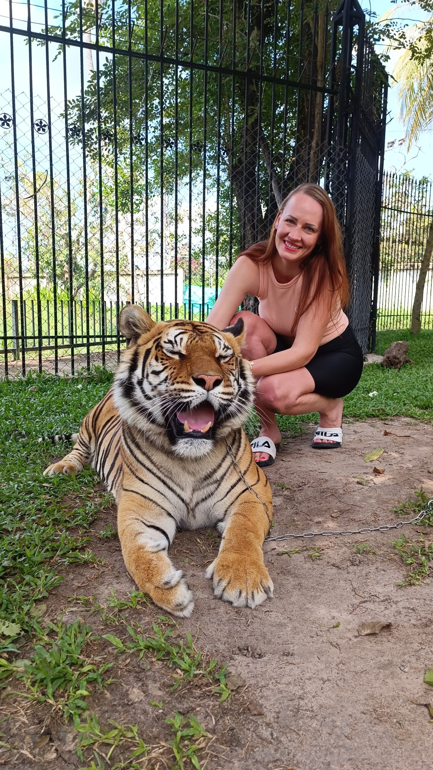 tiiger triinu sirge