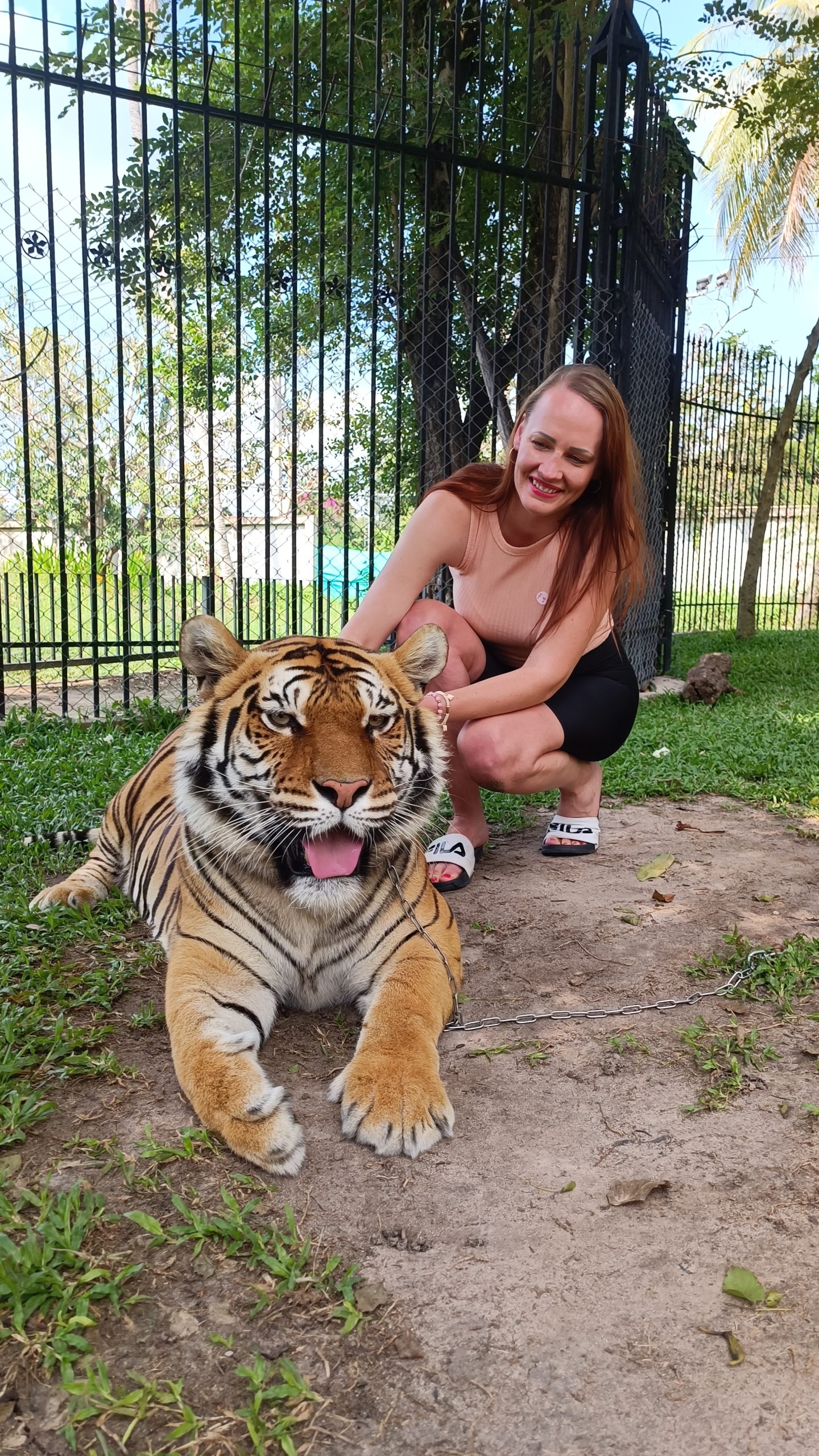 tiiger triinu sirge