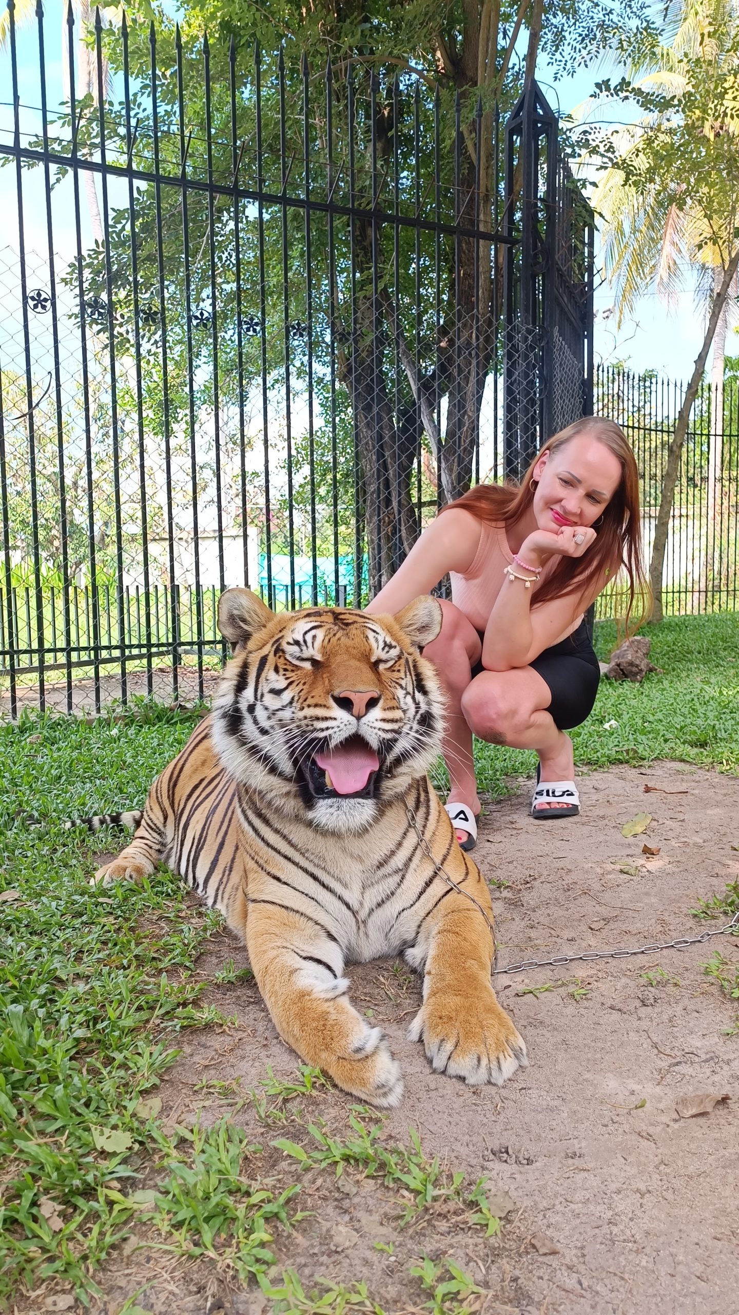 tiiger triinu