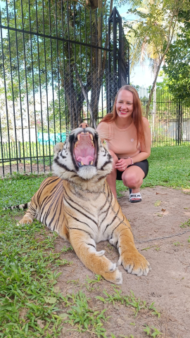 tiiger triinu