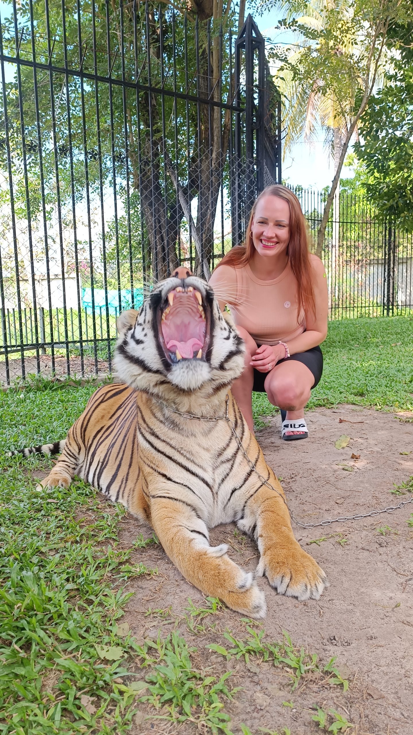 tiiger triinu