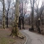 new york ameerika usa blogi reisiblogi eluümbermaailma ühendriigid central park