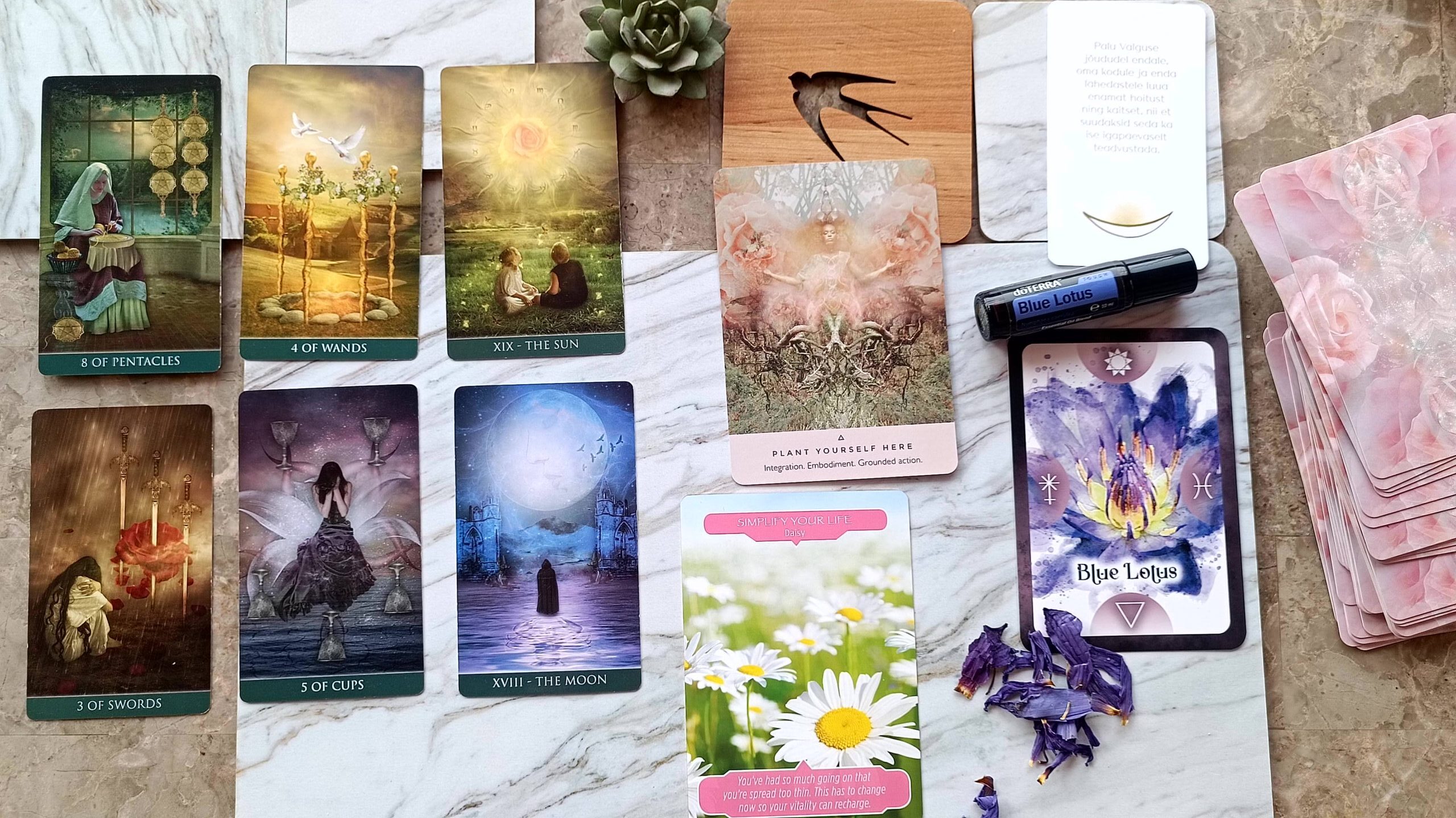 kaardid, taro, tarot sõnum, nädala kaart, mystiyee, mystify, mentor, lugeja