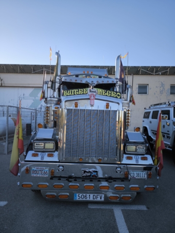 auto triinu sirge heaolu mentor