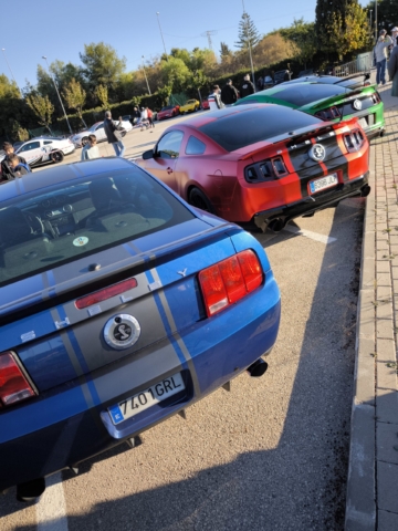 auto triinu sirge heaolu mentor