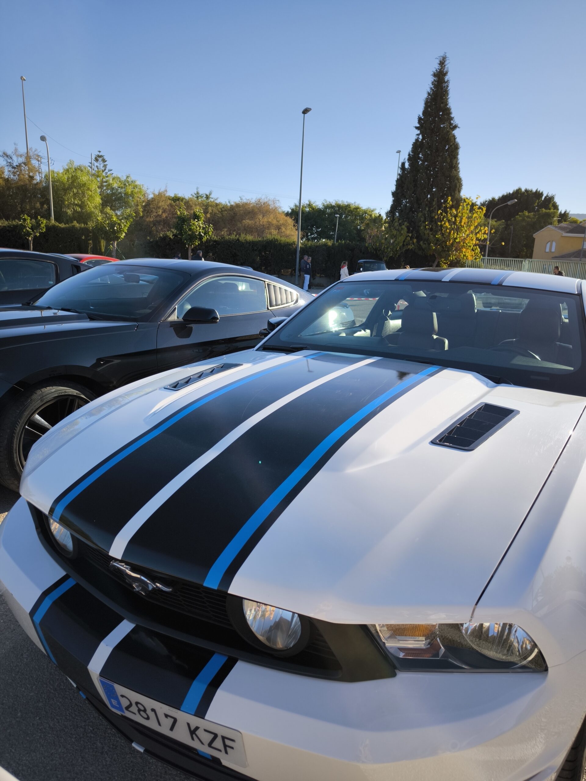 auto mustang triinusirge triinu eesti sirge heaolu mentor