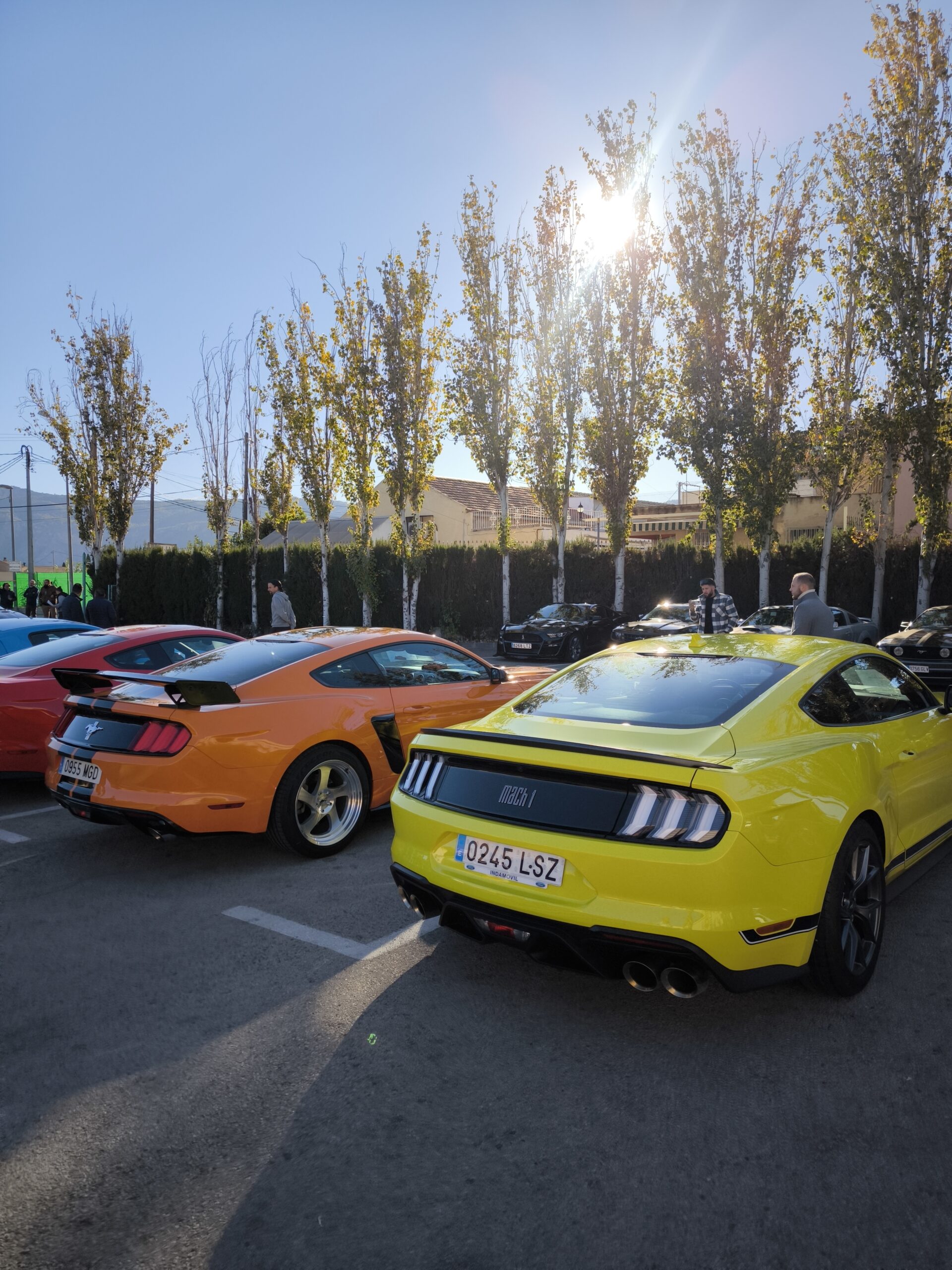auto mustang triinu sirge heaolu mentor