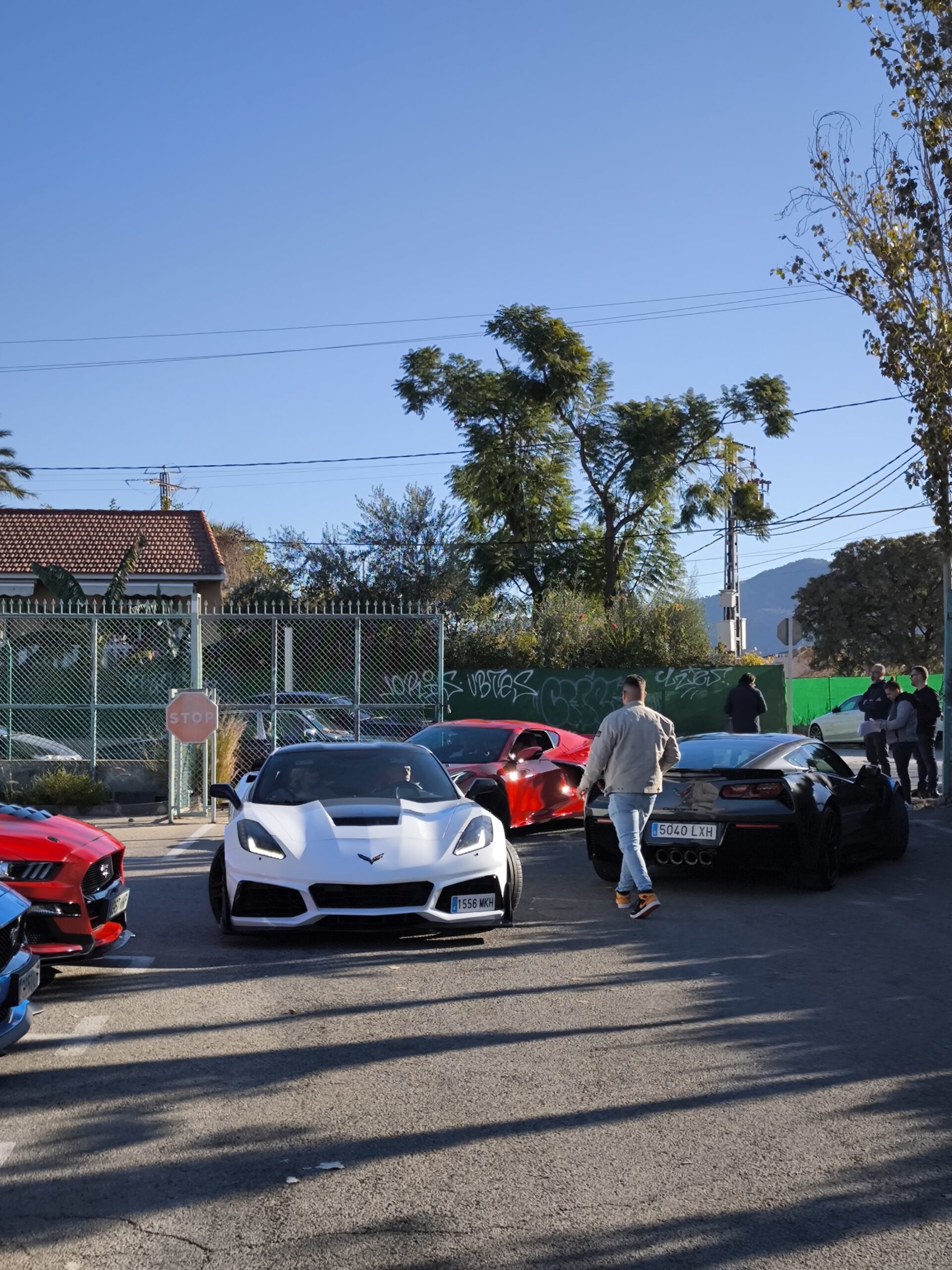 auto mustang triinu sirge heaolu mentor
