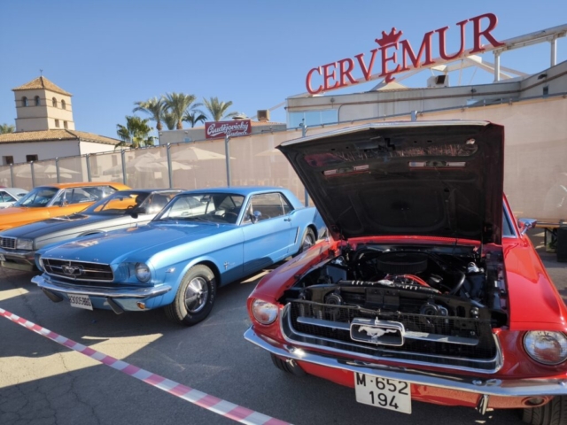 auto mustang triinu sirge heaolu mentor