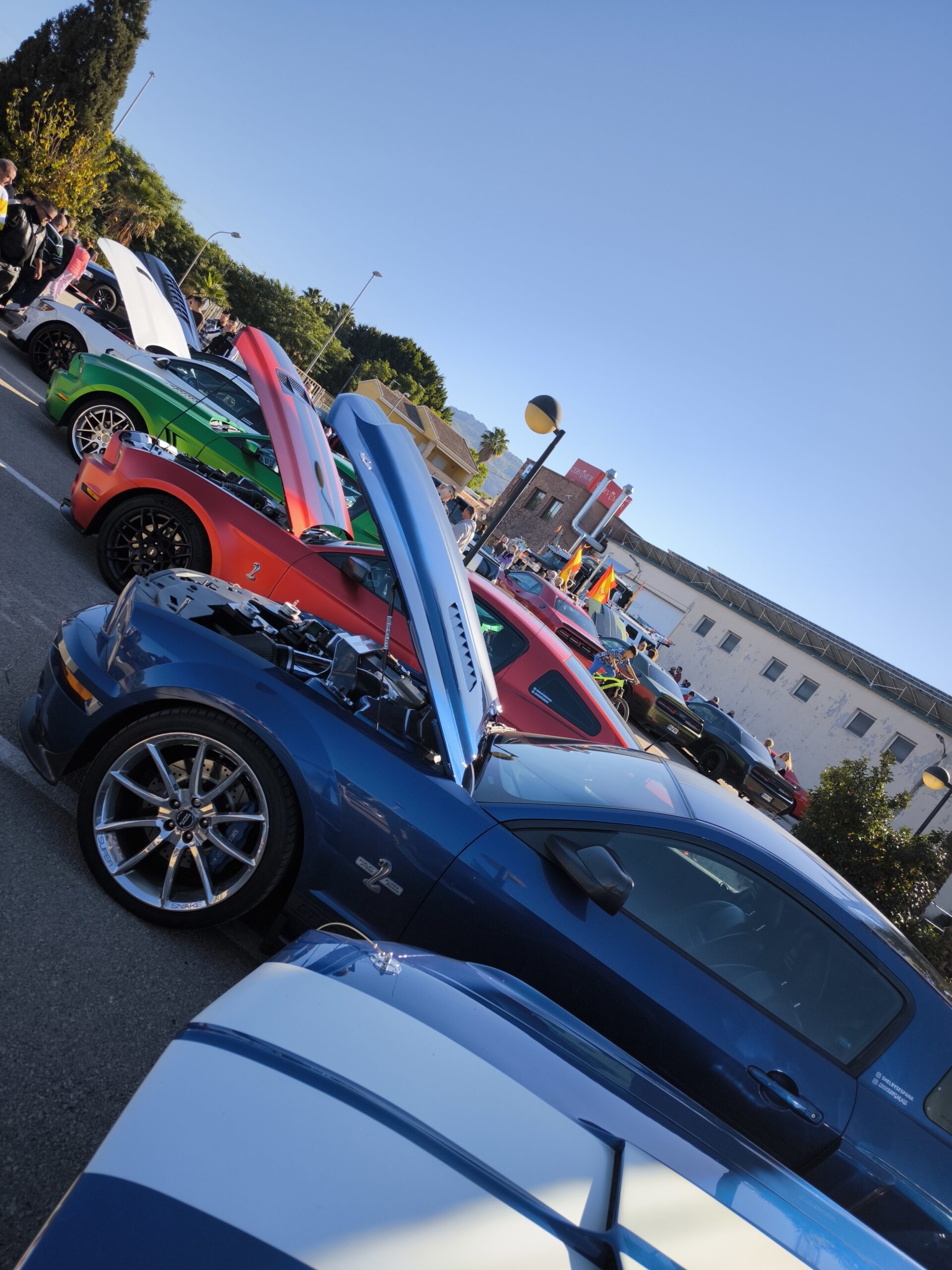 auto mustang triinu sirge heaolu mentor