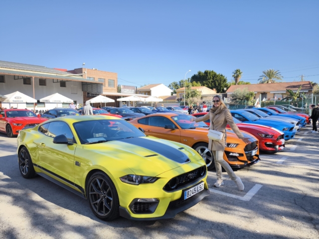 auto mustang triinu sirge heaolu mentor